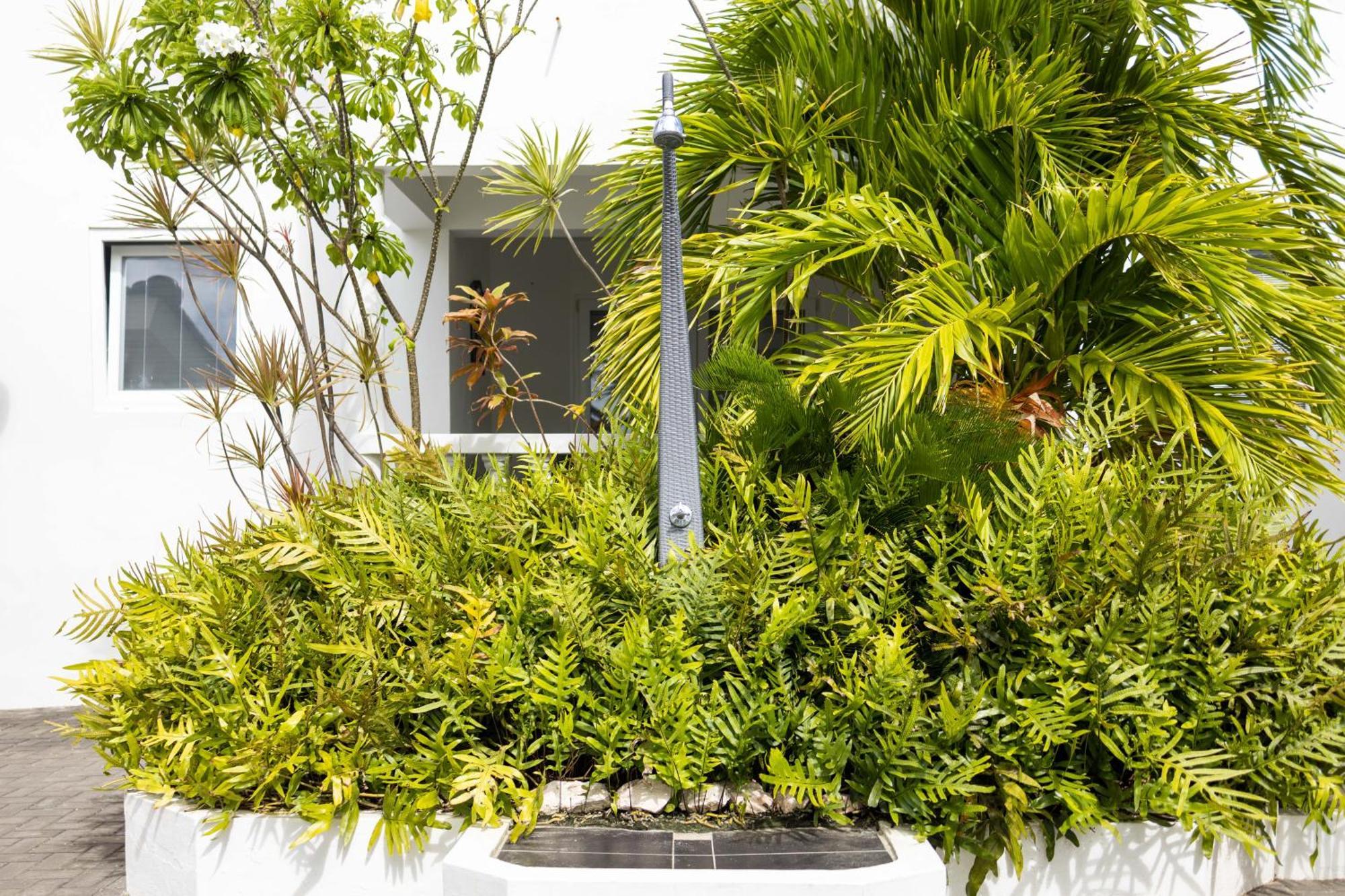 Palm Crest Apartment Jan Thiel Bagian luar foto